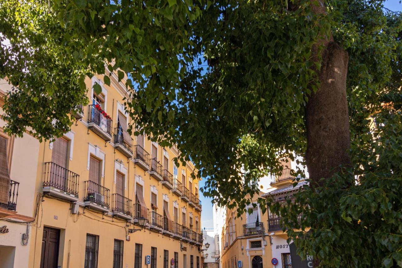 Nine O Clock San Agustin Apartman Sevilla Kültér fotó